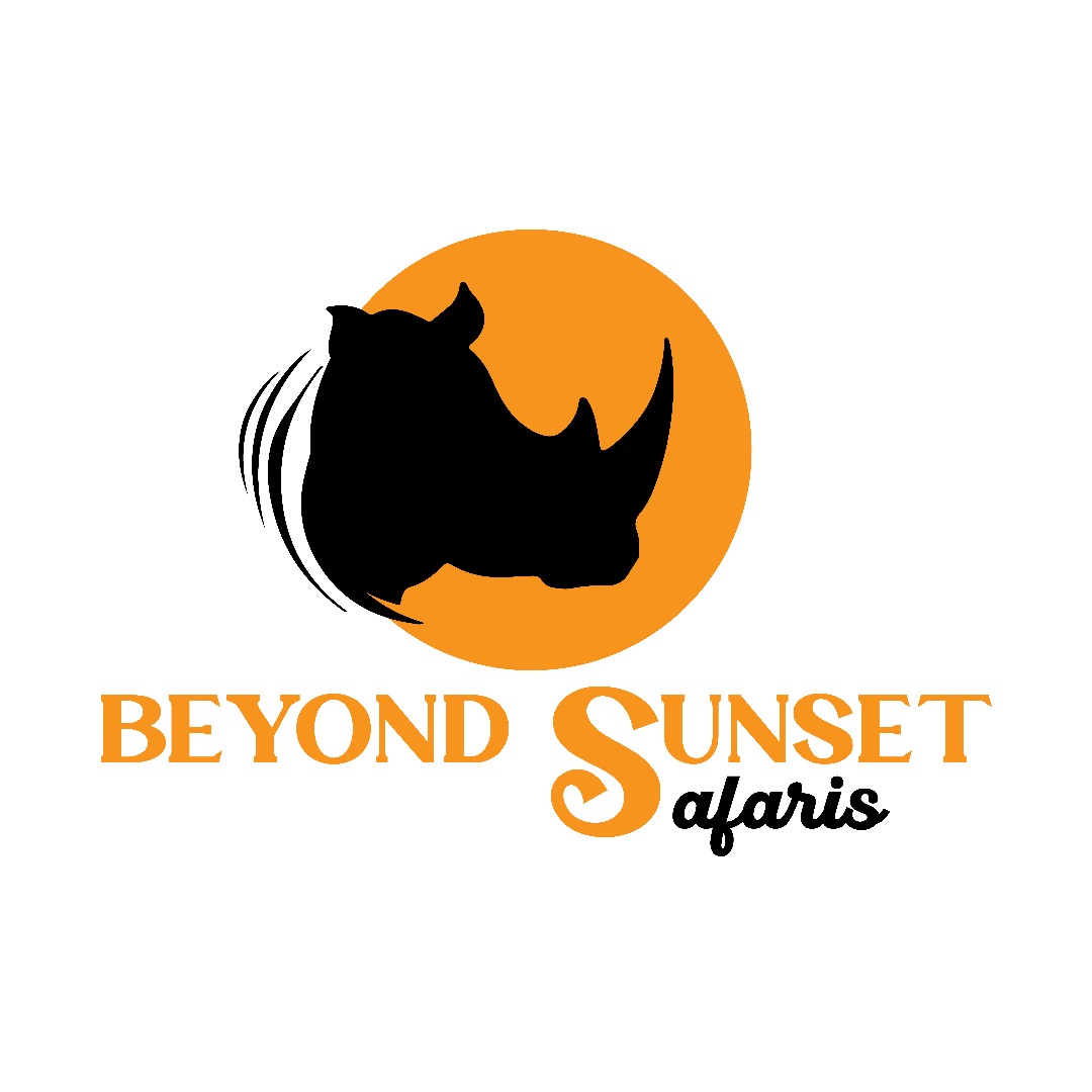 logo icon
